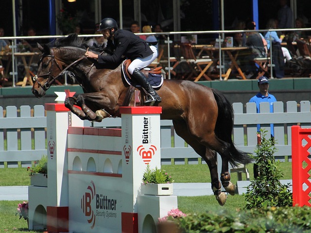 加积极向上 加积极向上