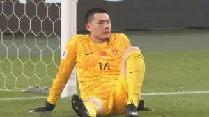 森林狼在本 森林狼在本