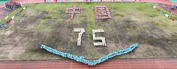 关键对比 关键对比