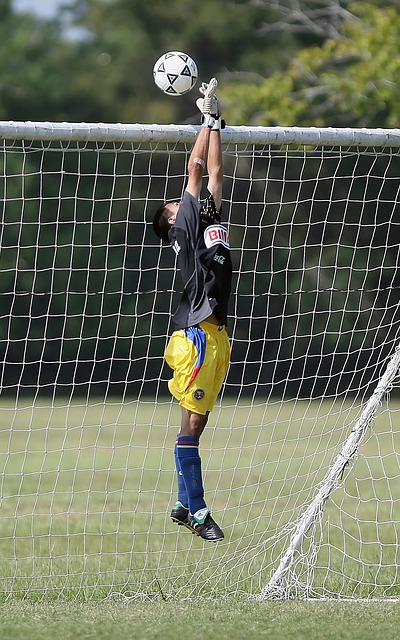 相应增加 相应增加