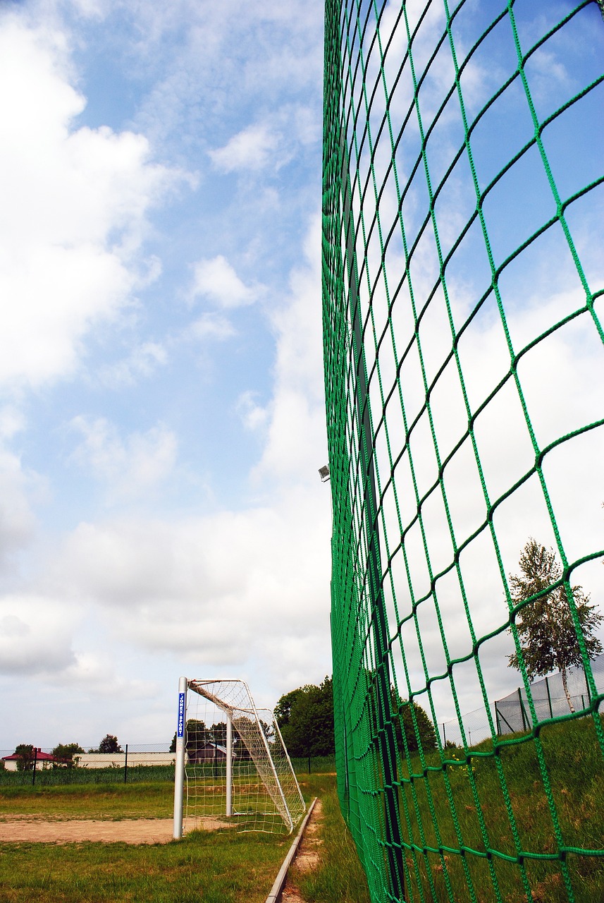 令任何对手 令任何对手