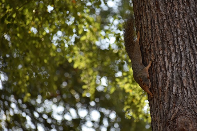 做出相应处 做出相应处